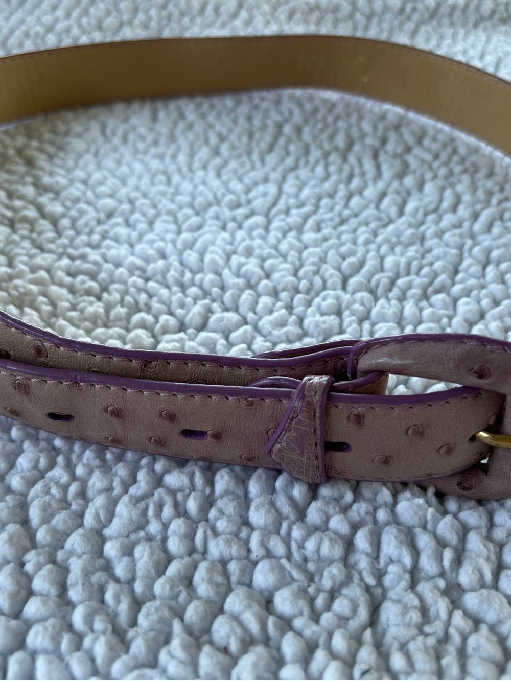 Women's Taupe Belt with Purple Edge Trim